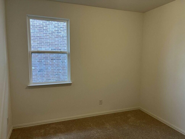 carpeted spare room featuring a healthy amount of sunlight