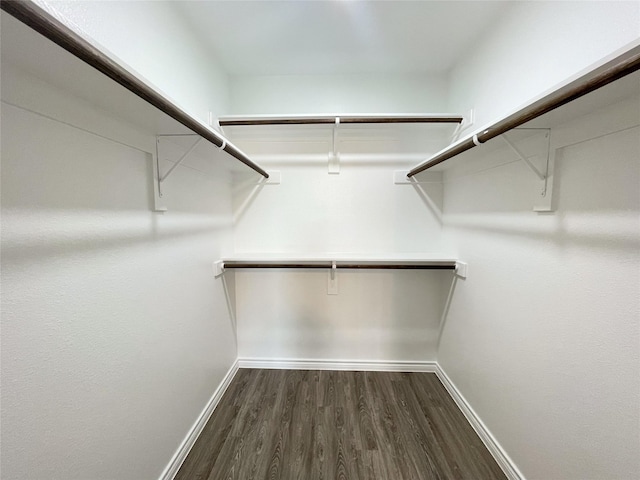 walk in closet with dark wood-style floors