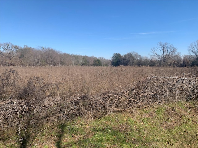 Listing photo 3 for TBD Fm 2578, Terrell TX 75160