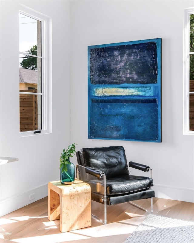 sitting room featuring wood-type flooring