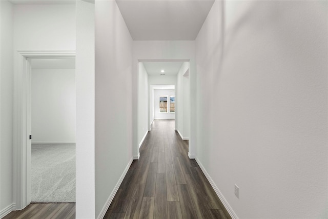 corridor featuring dark wood-type flooring