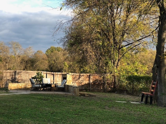 view of yard featuring a patio area