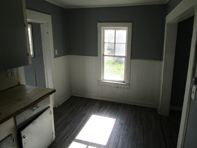 unfurnished dining area with dark hardwood / wood-style flooring