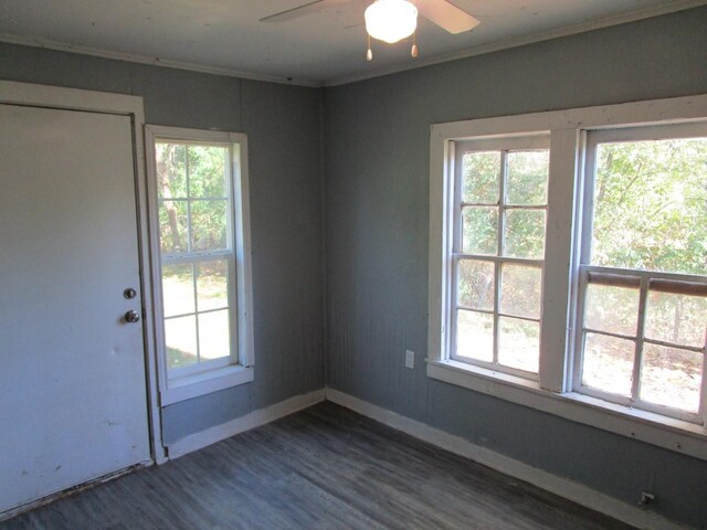 interior space with ceiling fan, dark wood-type flooring, and crown molding