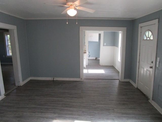 foyer featuring crown molding, a wealth of natural light, and dark hardwood / wood-style floors