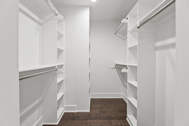 spacious closet with dark hardwood / wood-style floors