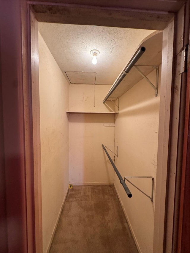 spacious closet featuring carpet floors