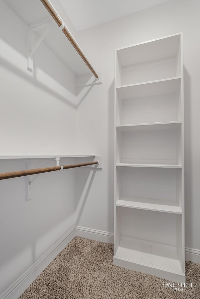 walk in closet with carpet floors