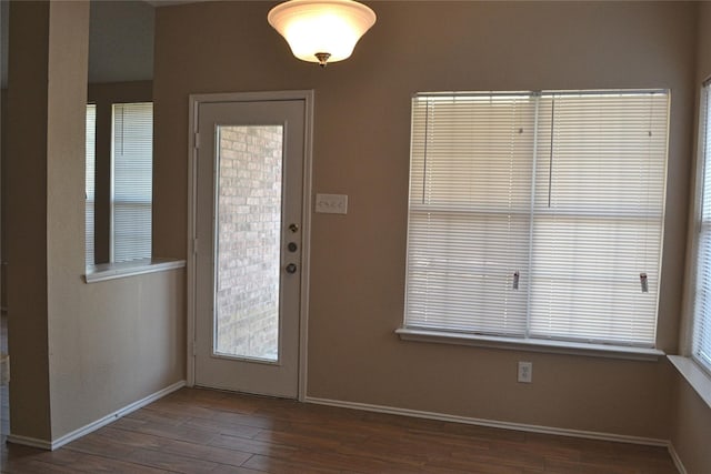 foyer featuring dark wood-type flooring