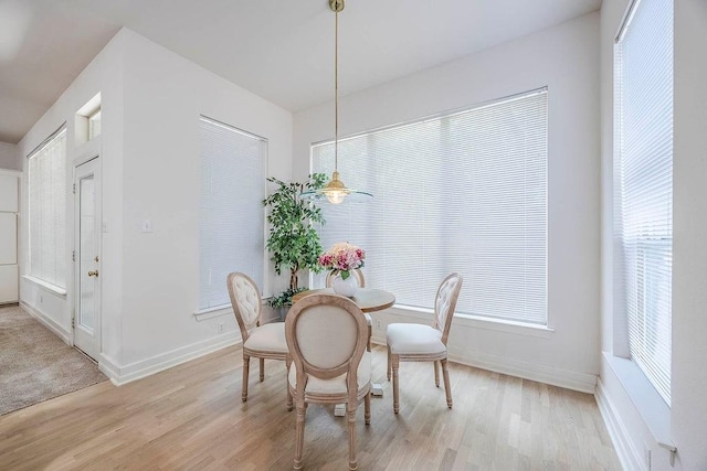 dining room with light hardwood / wood-style flooring