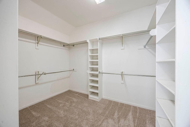 walk in closet featuring lofted ceiling and carpet flooring