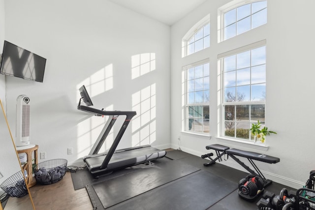 exercise room with wood-type flooring