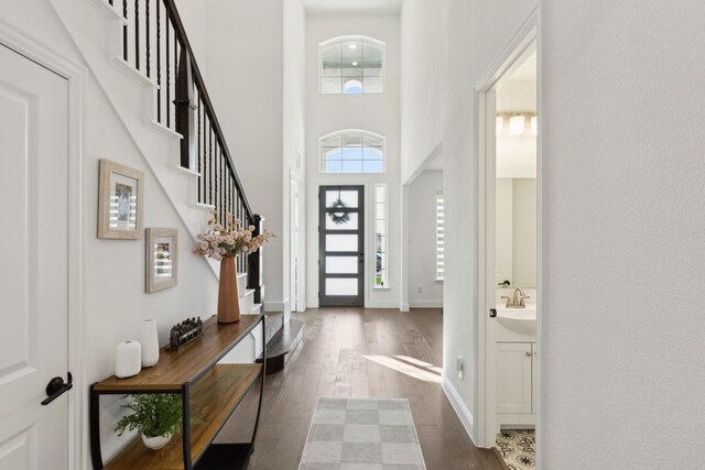 foyer entrance featuring a high ceiling, dark hardwood / wood-style flooring, and sink