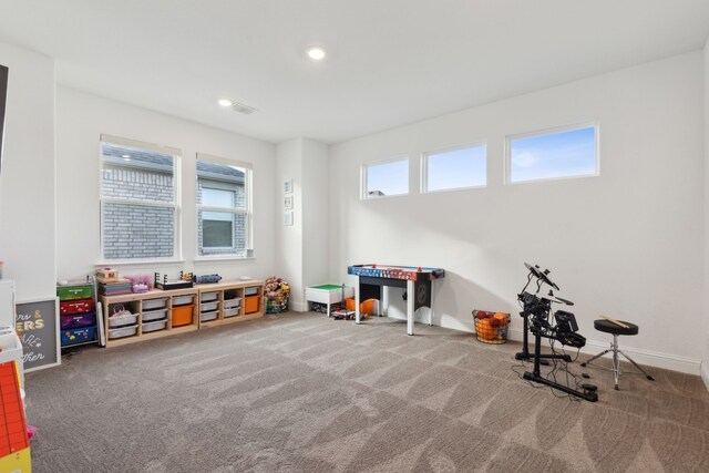 rec room with carpet floors