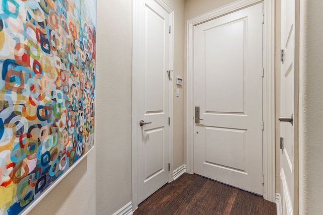 doorway to outside with dark wood-type flooring