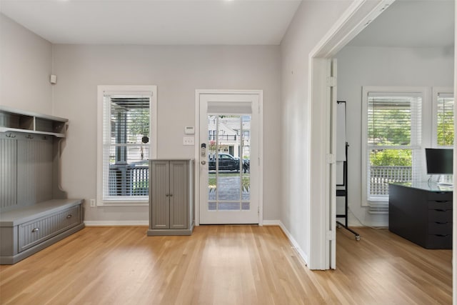 doorway with a healthy amount of sunlight and light wood-type flooring