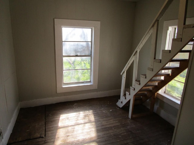 stairs with a wealth of natural light and hardwood / wood-style floors