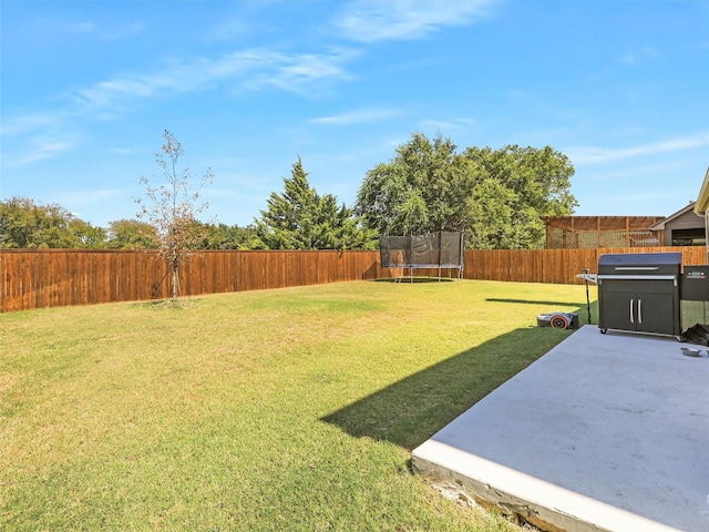 view of yard featuring a patio and a trampoline