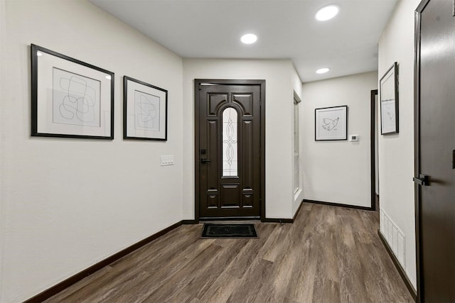 entrance foyer with dark wood-type flooring