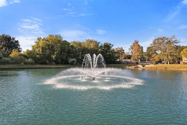 view of water feature