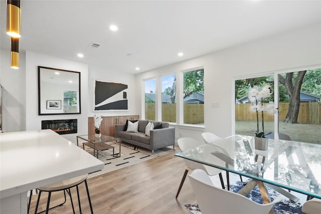 living room featuring light hardwood / wood-style floors