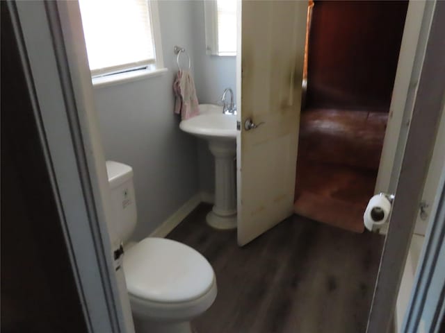 bathroom with toilet and wood-type flooring