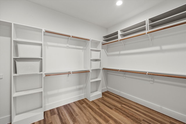 spacious closet with wood-type flooring