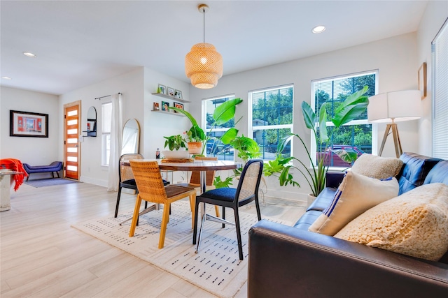 dining area with light hardwood / wood-style floors