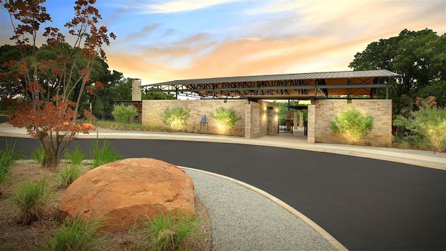 9328 Paintbrush Dr, Oak Point, TX 75068 - view of asphalt road