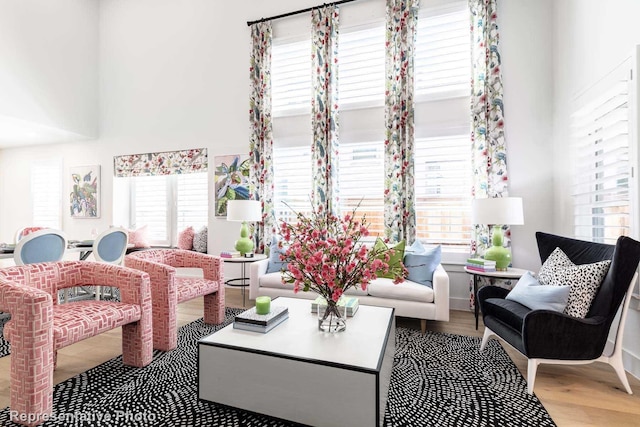 living room featuring a healthy amount of sunlight and light hardwood / wood-style floors