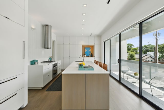 kitchen with a center island with sink, white cabinetry, appliances with stainless steel finishes, ventilation hood, and sink