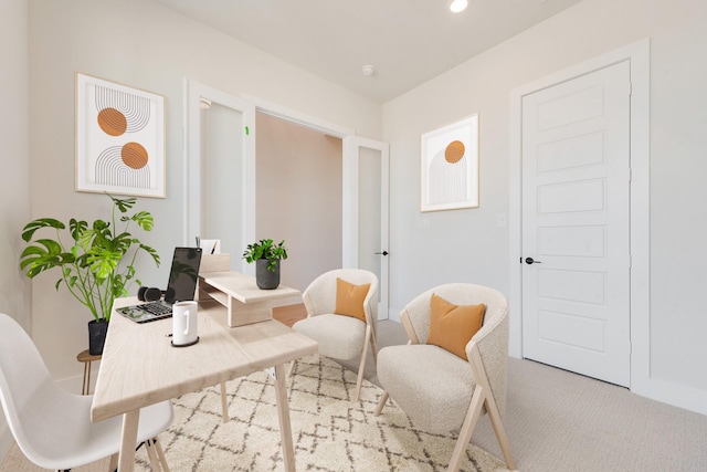 living area with light colored carpet