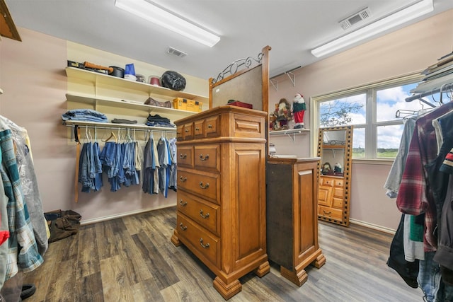 spacious closet with dark wood-type flooring