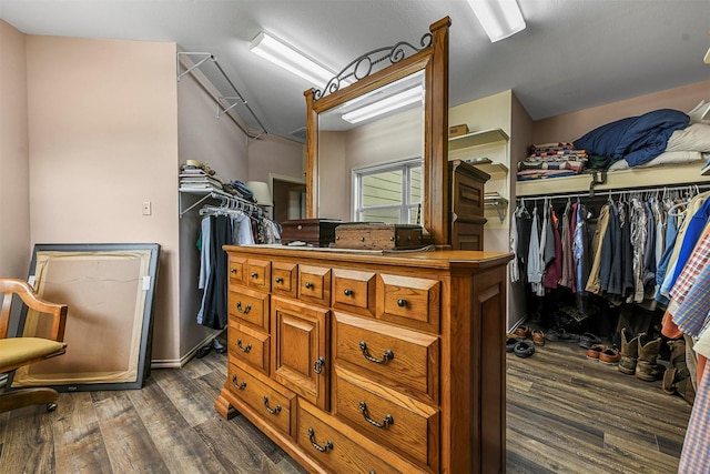 spacious closet featuring dark wood-type flooring