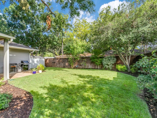 view of yard with a patio