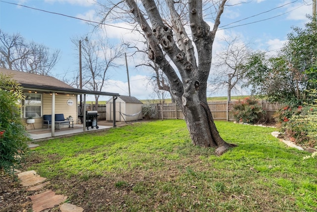 view of yard with a patio and a storage shed