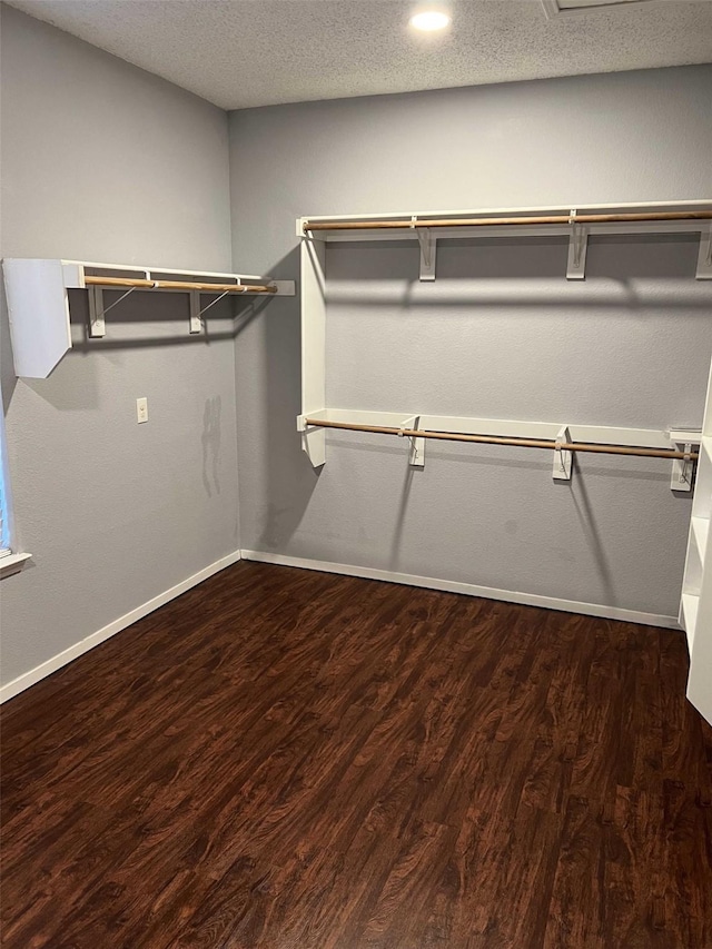 walk in closet featuring dark hardwood / wood-style flooring