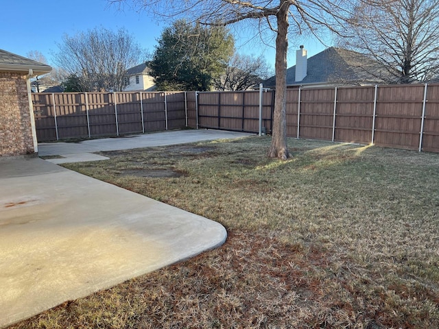 view of yard featuring a patio area