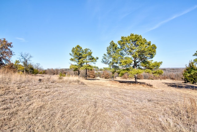 view of yard featuring a rural view