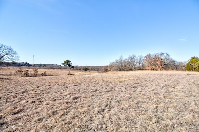 view of yard featuring a rural view