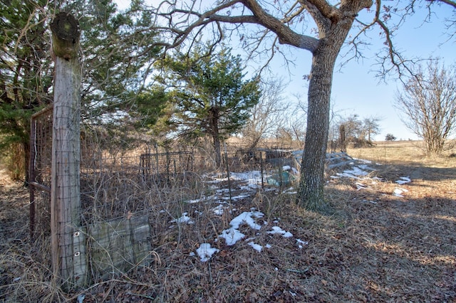 1110 Dye Mound Rd, Forestburg, TX 76239 - view of yard