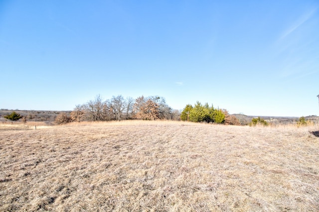 view of yard with a rural view