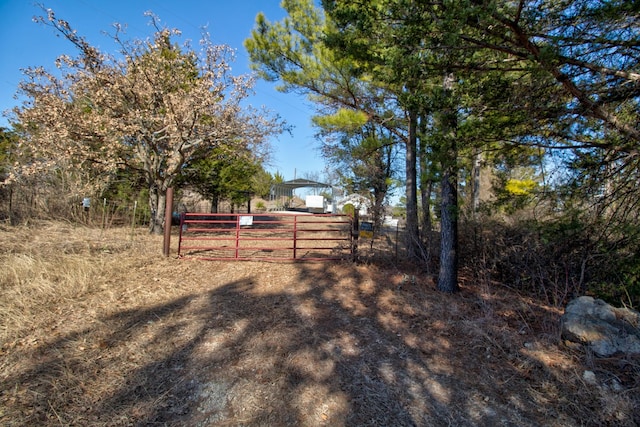 1110 Dye Mound Rd, Forestburg, TX 76239 - view of yard with a gate