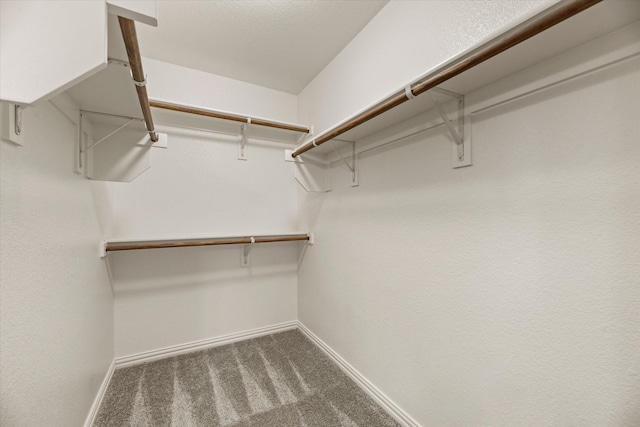 spacious closet featuring dark colored carpet