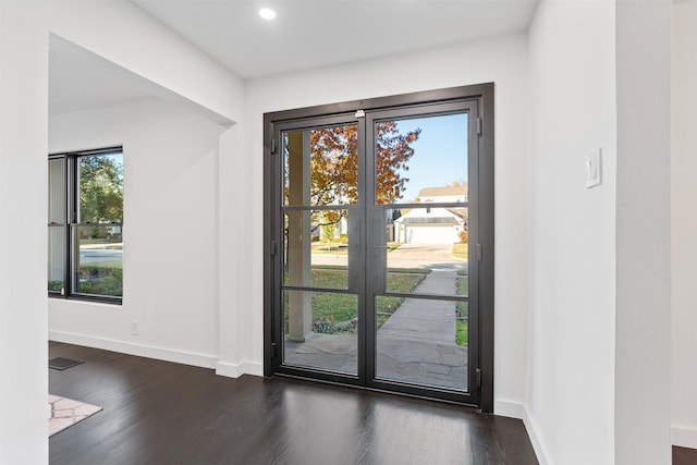 doorway with a wealth of natural light and dark hardwood / wood-style floors