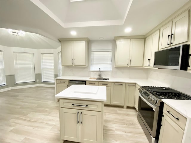 kitchen featuring stainless steel appliances, a tray ceiling, light hardwood / wood-style flooring, and sink