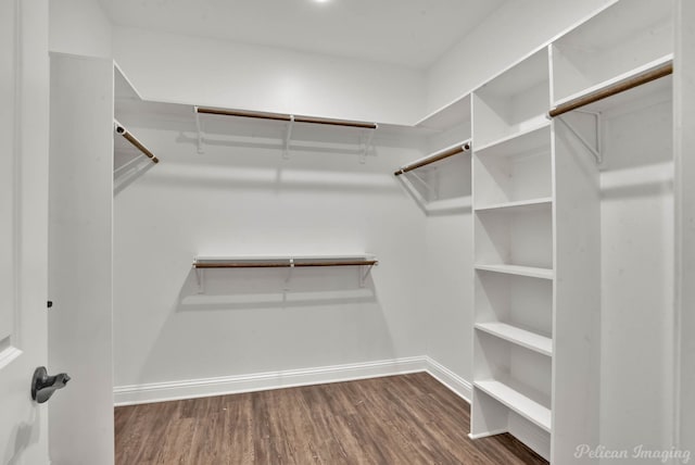 spacious closet featuring dark hardwood / wood-style flooring