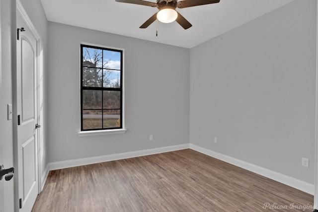 spare room with ceiling fan, light wood-type flooring, and a wealth of natural light