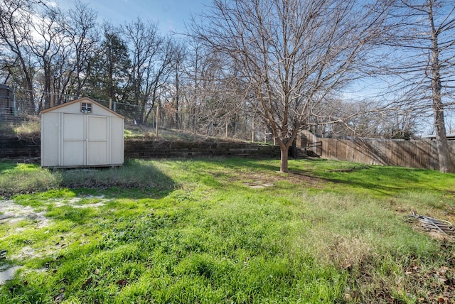 view of yard featuring a shed