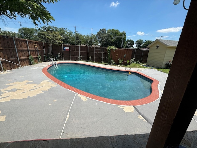 view of pool featuring a patio area